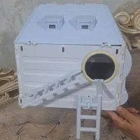 لانه طوطی عروس