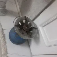 پیکنیک سالم