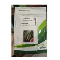 بهترین ارقام هندوانه ب32 تگزاس کسرا