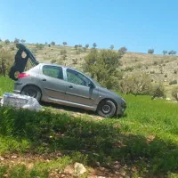 ۲۰۶ تیپ ۵ مدل ۸۳ دور رنگ