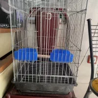 2عدد قفس مخصوص طوطی و قناری و...