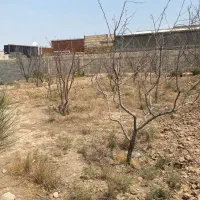زمین فروشی در زکی آباد کرج