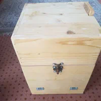 لونه طوطی راهب|لوازم جانبی حیوانات|رشت, حومه رشت|دیوار