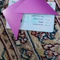 کارت ملی بنام لیلا رجب زاده ابکوهی پیدا شده