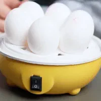 دستگاه تخم مرغ پز|اجاق گاز و لوازم برقی پختوپز|کاشان, باغ ماجد|دیوار