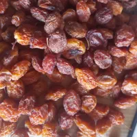 خشکبار  گردو  مغزگردو آلوچه خشک|عمده‌فروشی|بناب, |دیوار