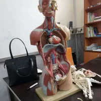 اموزشگاه علمی  شاد برای دانش اموزان و دانشجویان|خدمات آموزشی|تهران, سنائی|دیوار