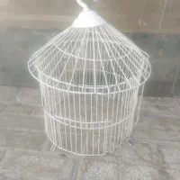 قفس پرنده