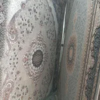 شیدای کاشان۶و۹و۱۲متری  نقد و اقساط|فرش|اصفهان, لاله|دیوار
