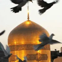 زیارت مشهدالرضا