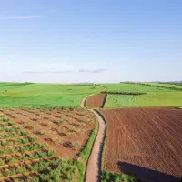 زمین مسکونی