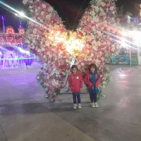 گل کاری حامد|گل و گیاه طبیعی|تاکستان, |دیوار