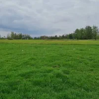 فروش بیجار در شفت|فروش زمین و ملک کلنگی|شفت, |دیوار