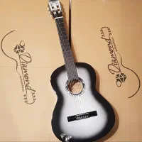 گیتار دیاموند اصلی|گیتار، بیس، امپلیفایر|گلبهار, شهر جدید گلبهار|دیوار