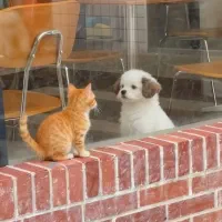 حوصله ندارم