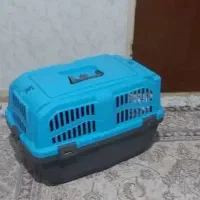 قفس گربه وخاک ووسایل بازی