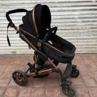 کالسکه دلیجان