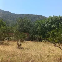 ۴۶۰ متر زمین ویلایی در روستای گردشگری بنفشتپه|فروش زمین و ملک کلنگی|نوکنده, |دیوار