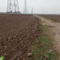 زمین زراعی.کشاورزی|فروش دفتر صنعتی، کشاورزی، تجاری|فاضل آباد, |دیوار