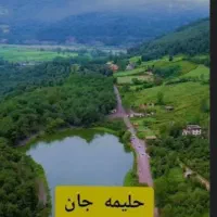 زمین-مسکونی-حلیمه-جان