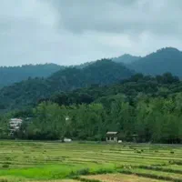 نیازمند ضامن برای وام ازدواج 300تومنی