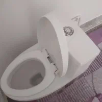 توالت فرنگی