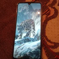 گوشی شیامی|موبایل|هیرمند, |دیوار