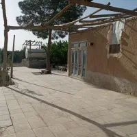 فروش-باغ