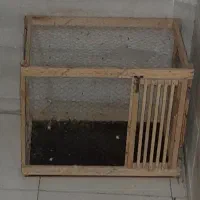 قفس مرغ و کبوتر
