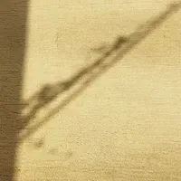 گلیم فرش