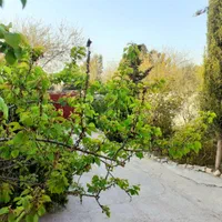 اجاره ویلا در فرح آباد جاده پلاژ نزدیک به دریا|اجارهٔ کوتاهمدت ویلا و باغ|ساری, |دیوار