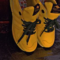 کتونی تورشن