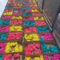 جوجه رنگی ۲۱۰۰فقط اگهیرو بخونید