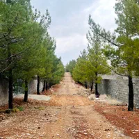 فروش زمین باغشهری پزشکان یا معاوضه با خودرو|فروش زمین و ملک کلنگی|شیراز, دوکوهک|دیوار