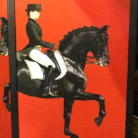 تابلو دکوری|تابلو، نقاشی، عکس|قوچان, |دیوار