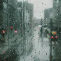 شریک کاری یا سرمایه