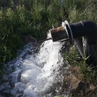 باغ پسته ای ۲۳۰۰۰ متر منطقه بیابانک