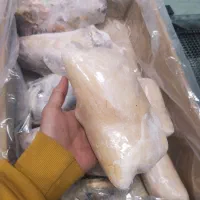 کله پاچه|خوردنی و آشامیدنی|مرودشت, ژیان|دیوار