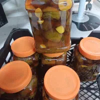 ترشی بادنجان ظرفی ۱۰۰|خوردنی و آشامیدنی|شیراز, شهرک فرهنگیان|دیوار