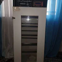 دستگاه جوجه کشی 210|لوازم جانبی حیوانات|رشت, ولکس|دیوار