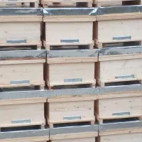 کندو زنبور عسل