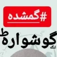 گوشواره