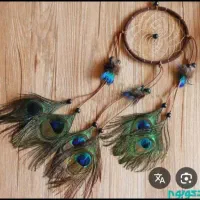 پر طاووس طبیعی|صنایع دستی و سایر لوازم تزئینی|بردسکن, |دیوار