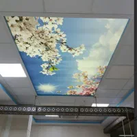 فروش و نصب سقف کشسان|ریسه و چراغ تزئینی|مسجد سلیمان, |دیوار