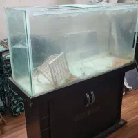 اکواریوم