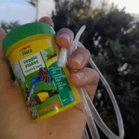 ماهی گوپی و بچه ماهی و حلزون سیب و وسایل آن