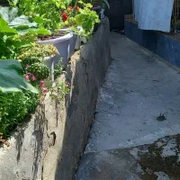 گل طبیعی|گل و گیاه طبیعی|خلخال, |دیوار