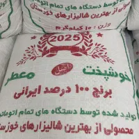برنج عنبربو شوشتر