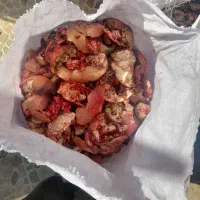 فروش فوری پوست انار