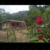 اجاره روزانه/هفتگی/ماهانه ویلا ۹۰ متری در تالش|اجارهٔ کوتاه‌مدت ویلا و باغ|تالش, تالش|دیوار